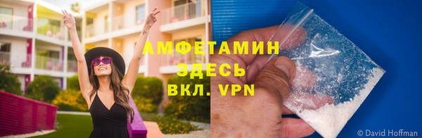 ешки Алзамай