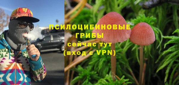 экстази Алексин