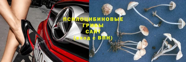 дживик Арсеньев