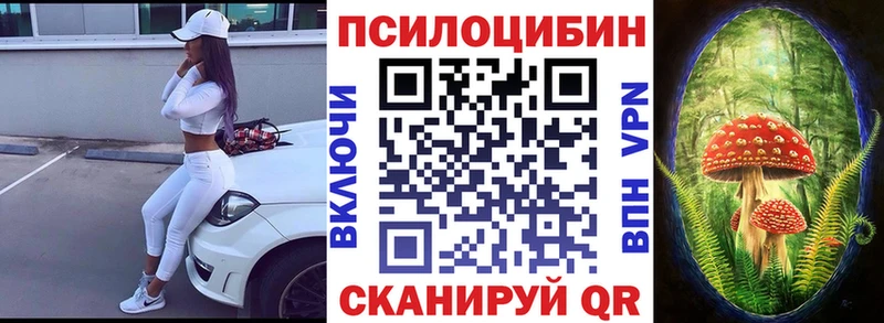 дарк нет телеграм Липки Галлюциногенные грибы Psilocybe